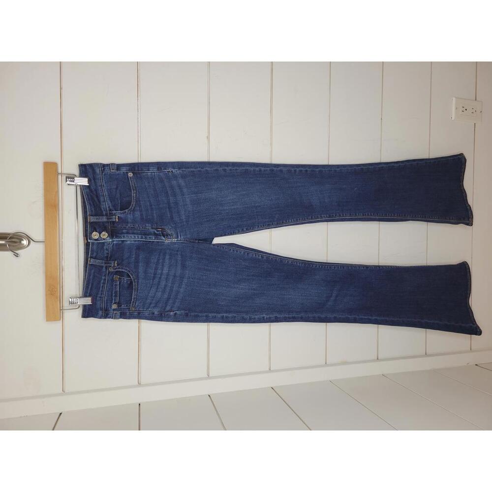 American Eagle Hi Rise Artist Flare Jeans